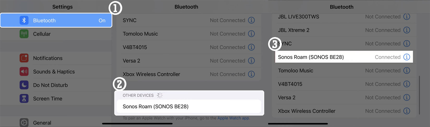 Pair Sonos Roam with Bluetooth