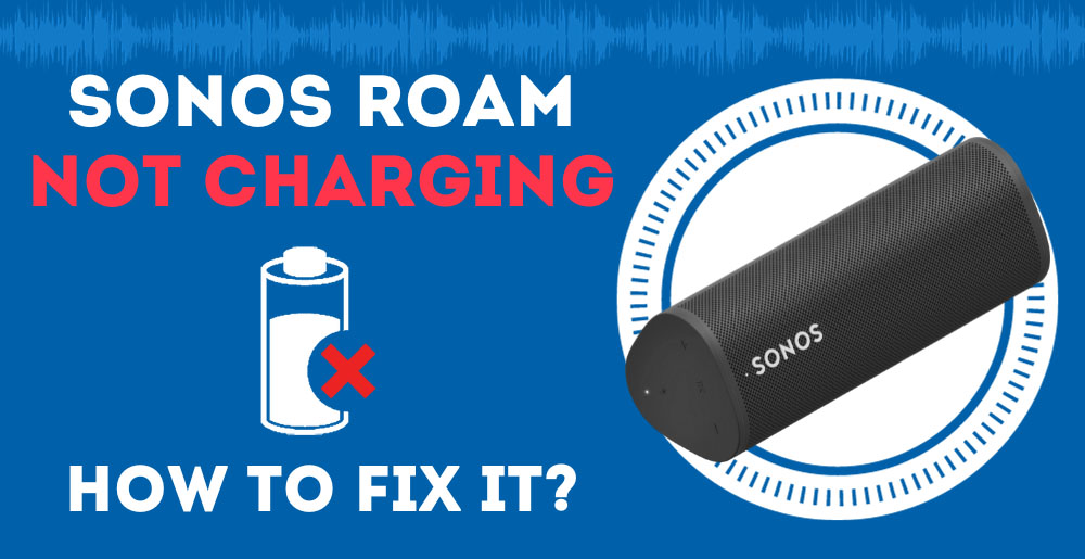 Roam Charging Cable