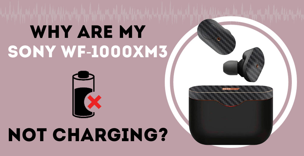 Sony WF-1000XM3 Not Charging (Left/Right) - AudioGrounds